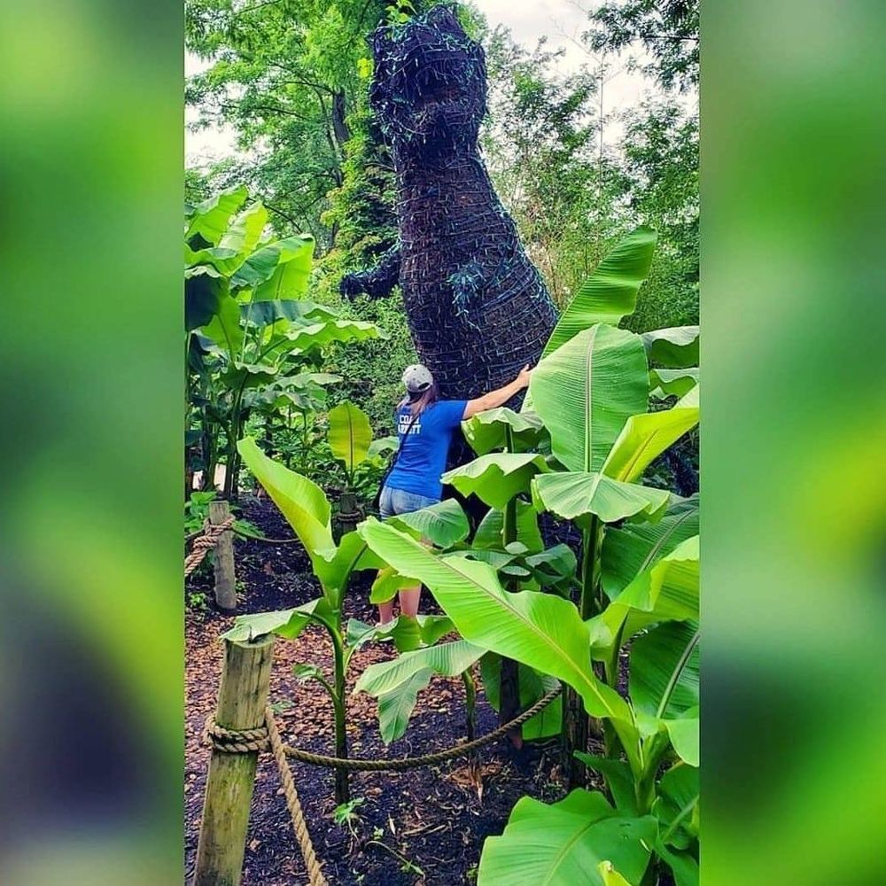 Meet your Posher, Jessie